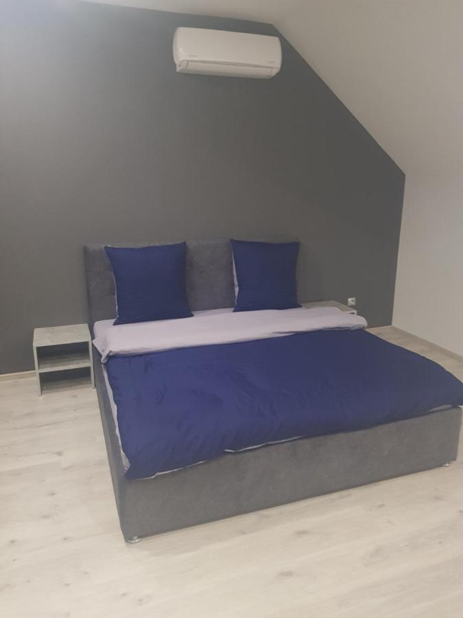Uzhorod 3 Room Lovely House Buitenkant foto